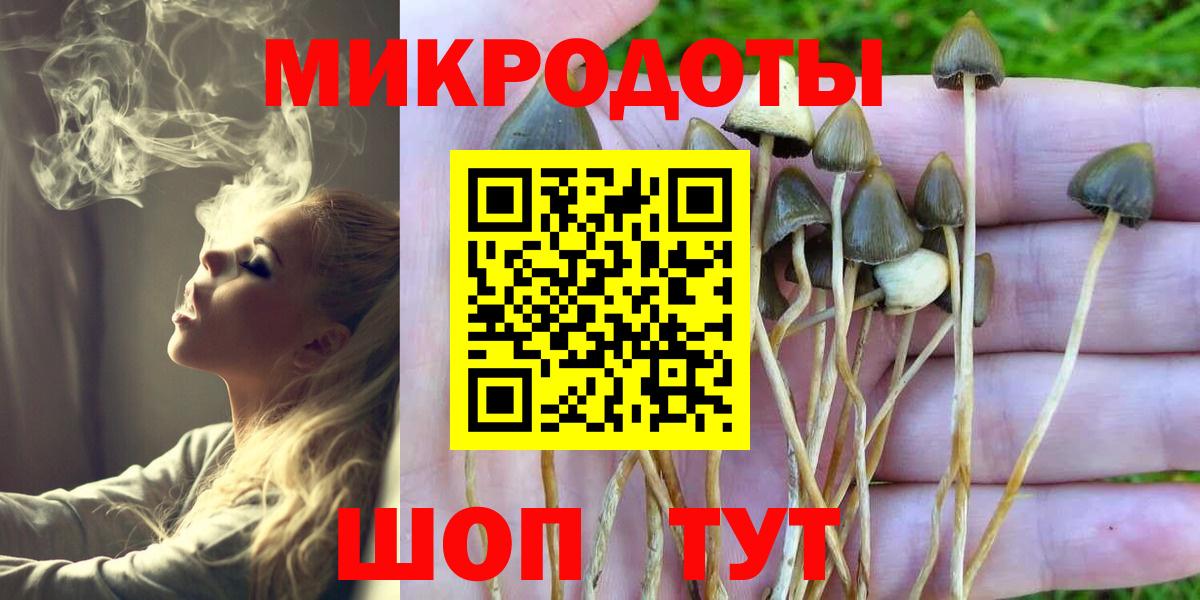 Галлюциногенные грибы Cubensis Новодвинск